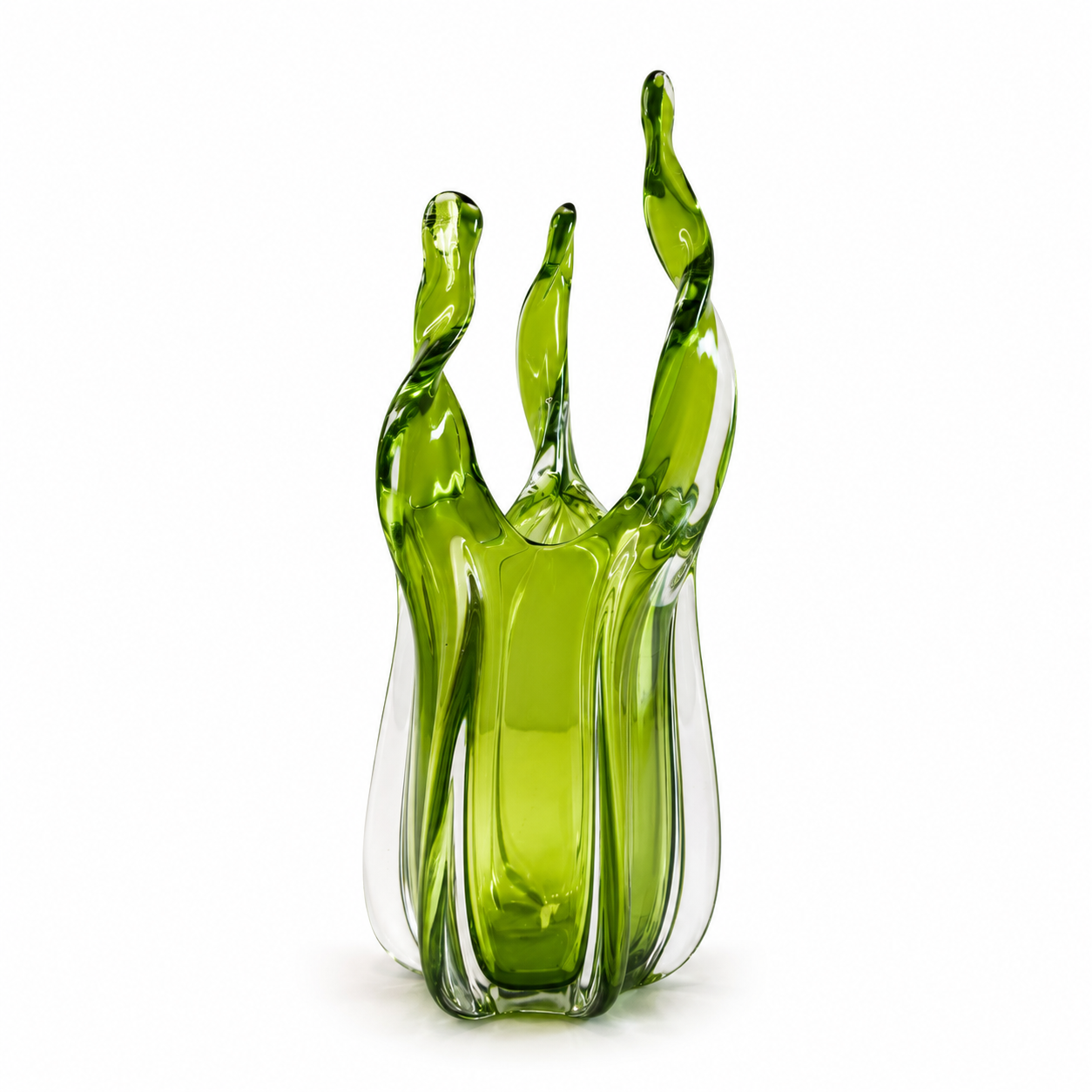 Vaso Botanica Verde